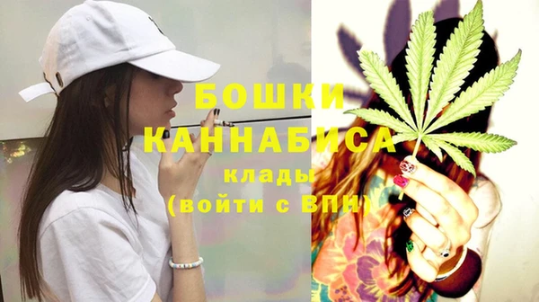 ГАЛЛЮЦИНОГЕННЫЕ ГРИБЫ Каменногорск