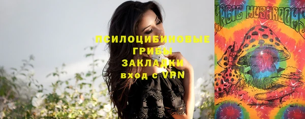 ГАЛЛЮЦИНОГЕННЫЕ ГРИБЫ Каменногорск