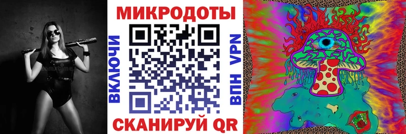 Галлюциногенные грибы Psilocybine cubensis  Купить  Череповец 
